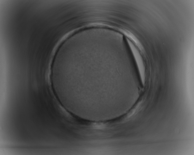 X0000093100799200710031829