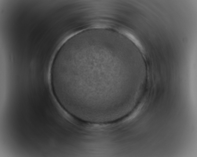 X0000093100803200710031829