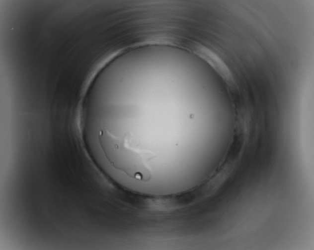 X0000093100804200710031829