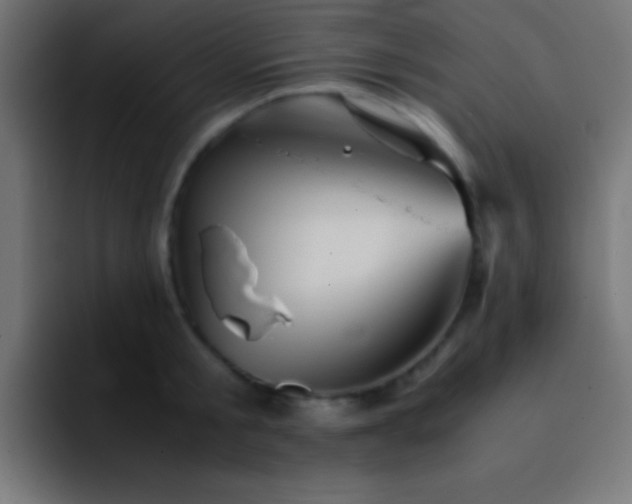 X0000093100805200710031829