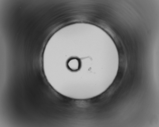 X0000093100807200710031829