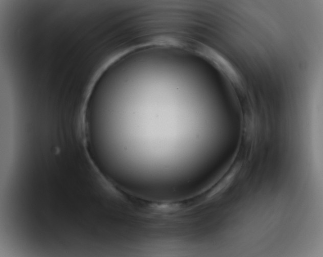X0000093100808200710031829