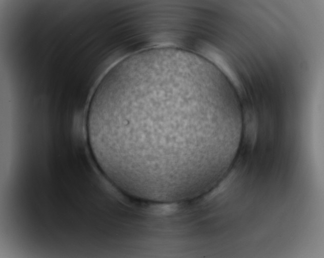 X0000093100810200710031829
