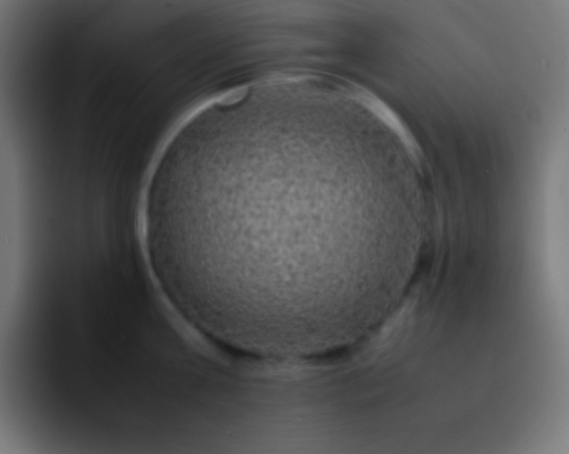 X0000093100811200710031829
