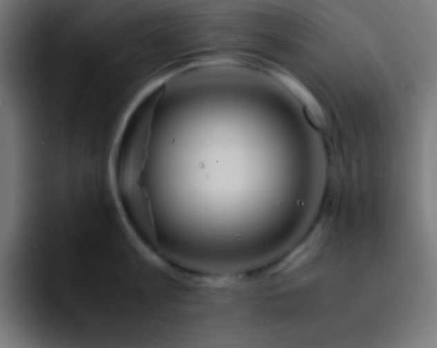 X0000093100813200710031829