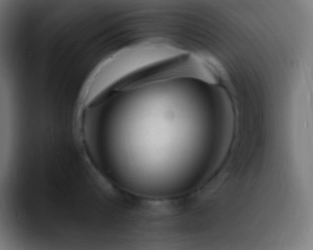 X0000093100816200710031828