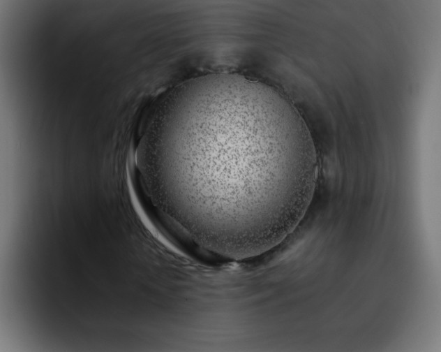 X0000093100818200710031828