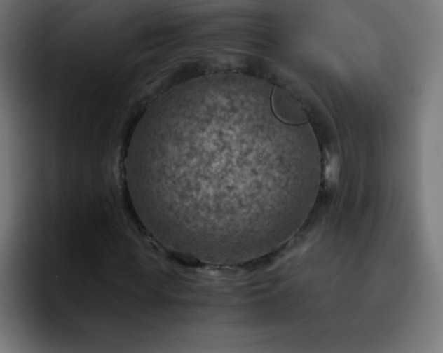 X0000093100819200710031828