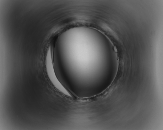 X0000093100822200710031828