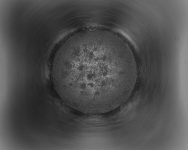 X0000093100823200710031828