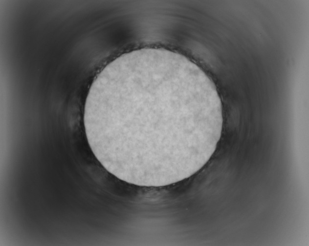 X0000093100824200710031828