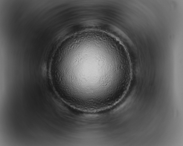 X0000093100825200710031828
