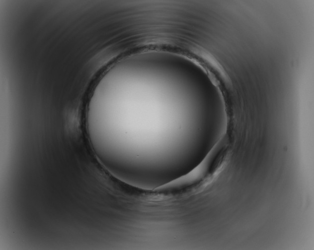 X0000093100826200710031828