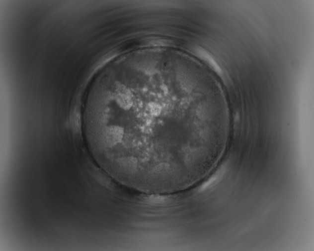 X0000093100827200710031828
