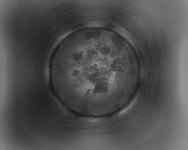 X0000093100829200710031828