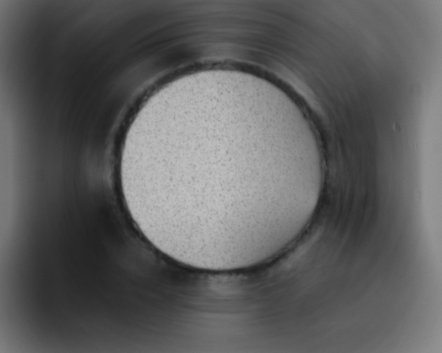 X0000093100832200710031828