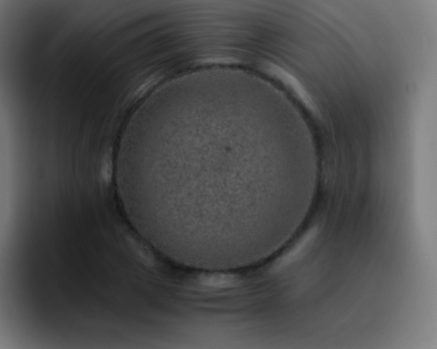 X0000093100833200710031828