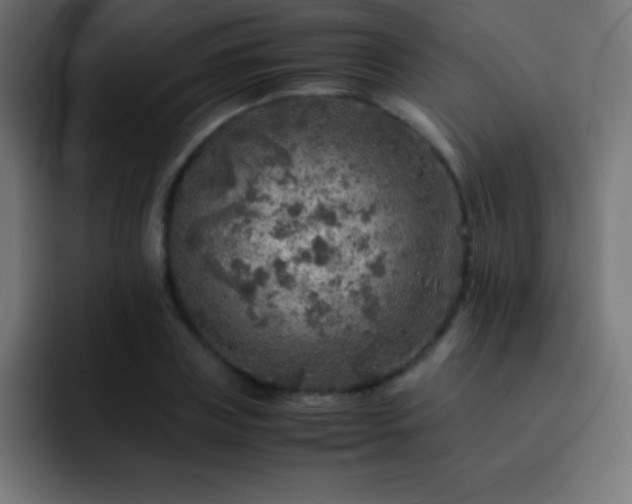 X0000093100835200710031828