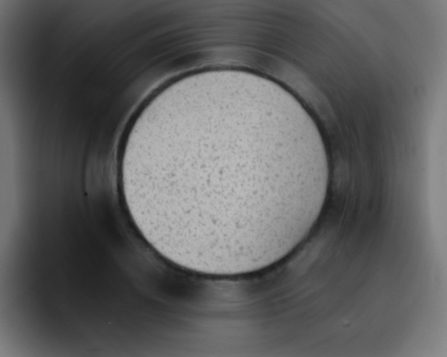 X0000093100836200710031828