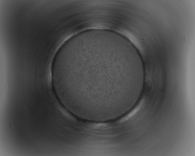 X0000093100837200710031828