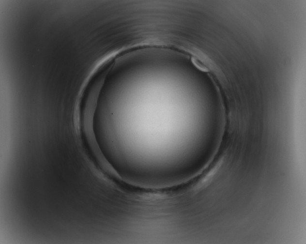 X0000093100838200710031828