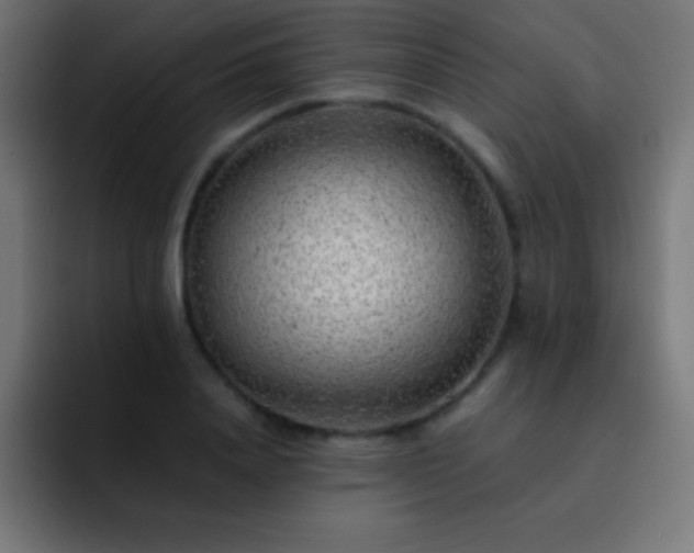 X0000093100840200710031828