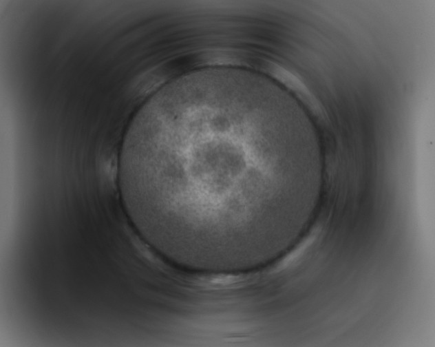 X0000093100841200710031828
