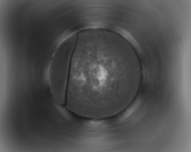 X0000093100842200710031828