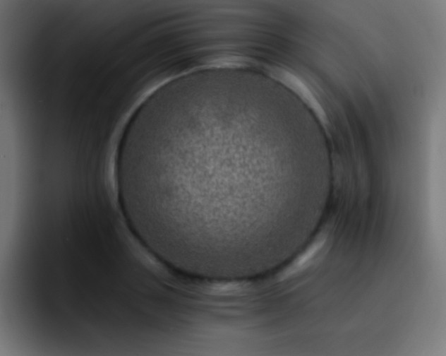 X0000093100843200710031828