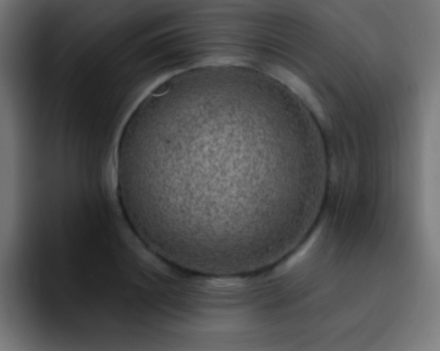 X0000093100844200710031828