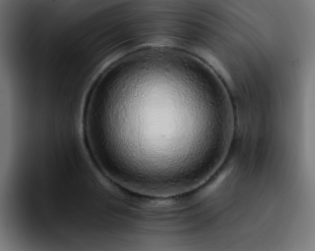 X0000093100845200710031828