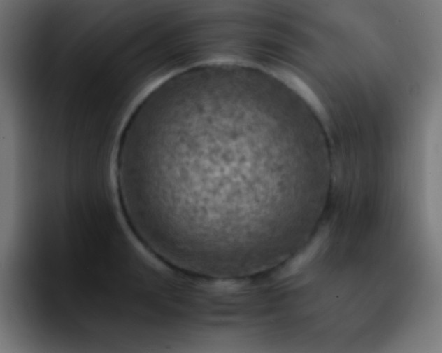 X0000093100847200710031828