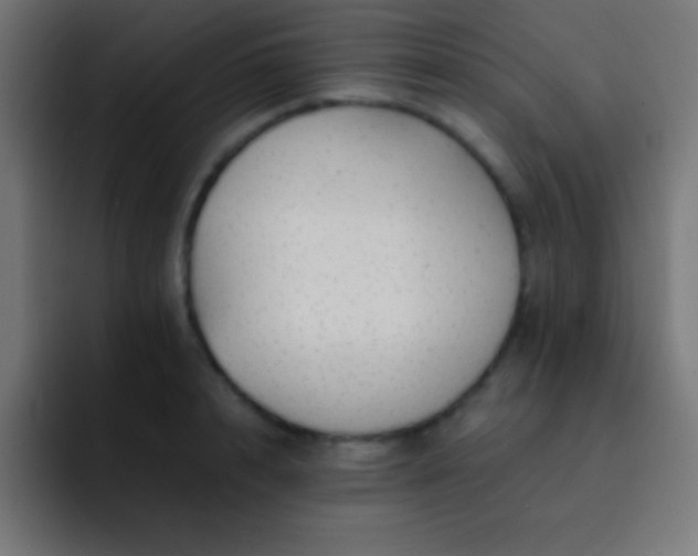 X0000093100848200710031828