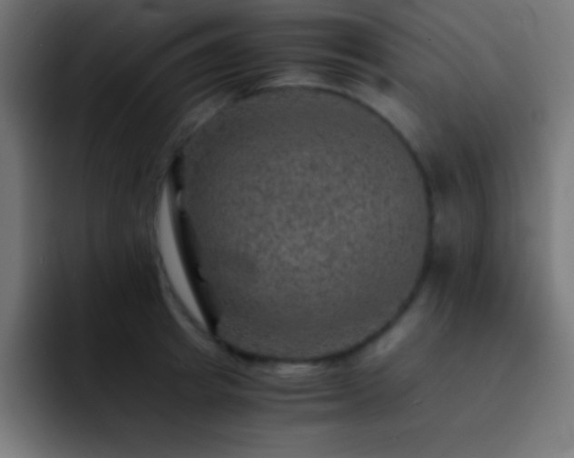 X0000093100849200710031828