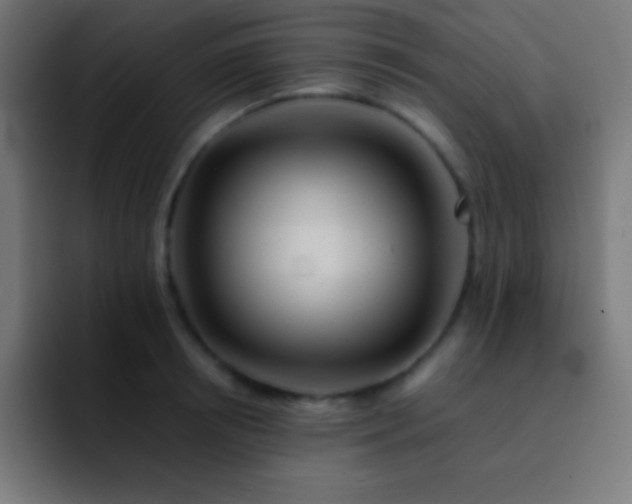 X0000093100850200710031828