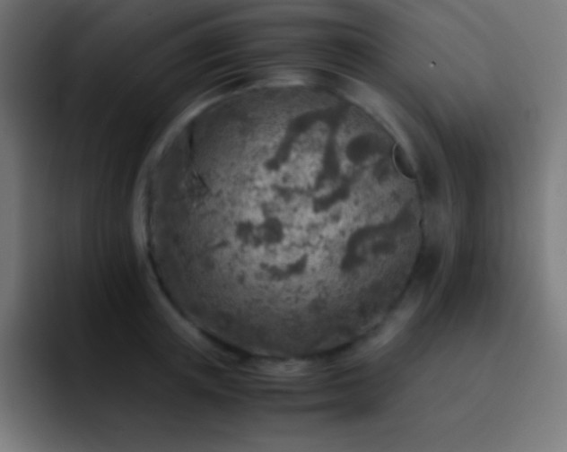 X0000093100851200710031828