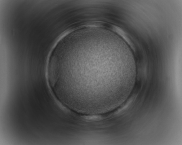 X0000093100853200710031828