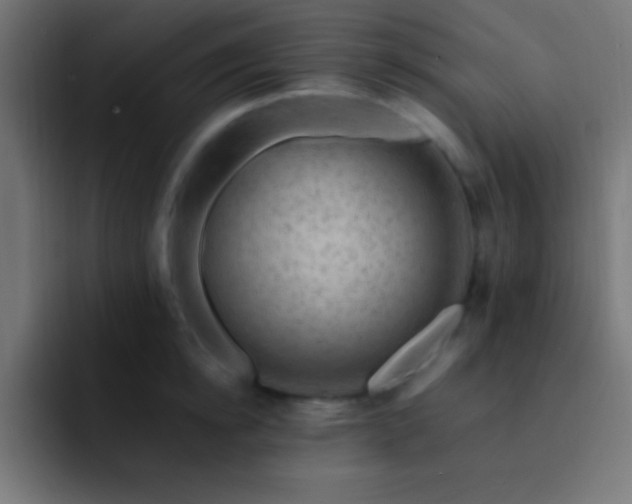 X0000093100854200710031828