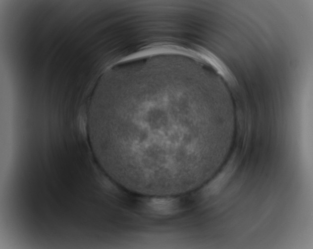 X0000093100857200710031828