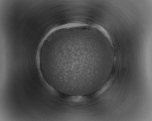 X0000093100859200710031828