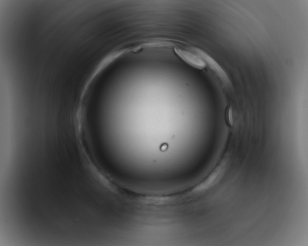 X0000093100860200710031828