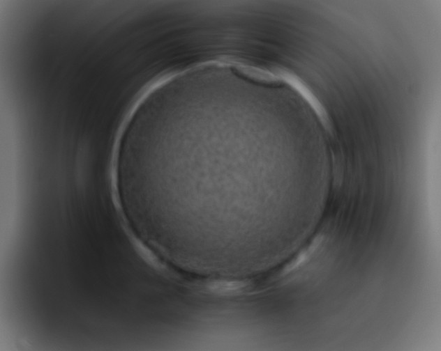 X0000093100861200710031828