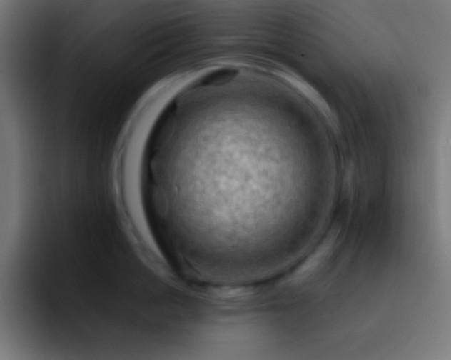 X0000093100862200710031828