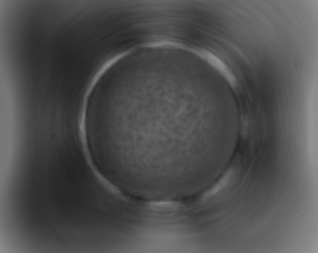 X0000093100863200710031828