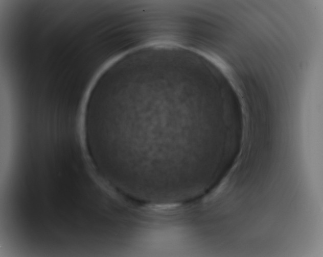 X0000093100864200710031828