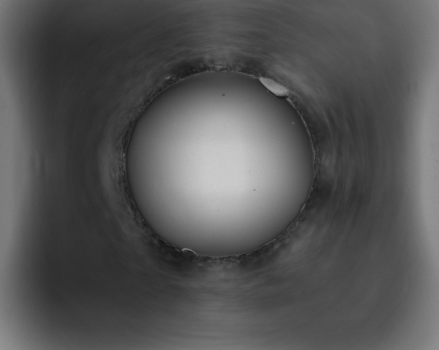 X0000093100865200710031828
