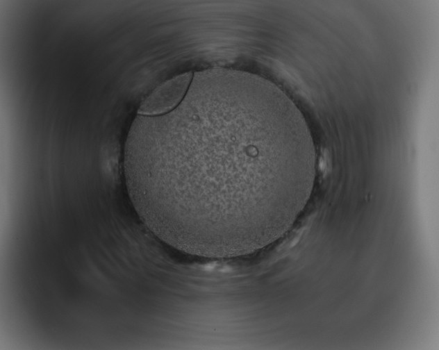 X0000093100867200710031828