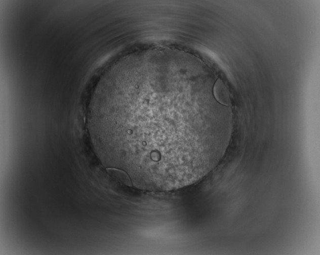 X0000093100871200710031828