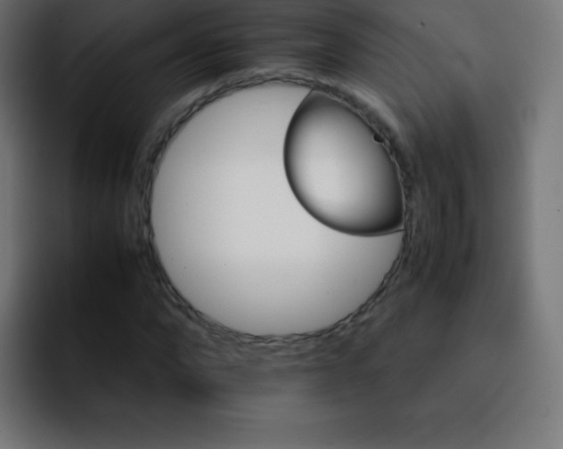 X0000093100872200710031828