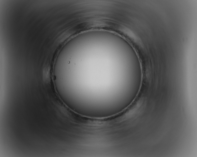 X0000093100873200710031828